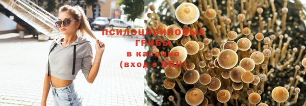 герыч Алзамай