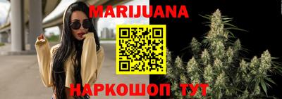 индика Коммунар