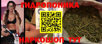 индика Коммунар