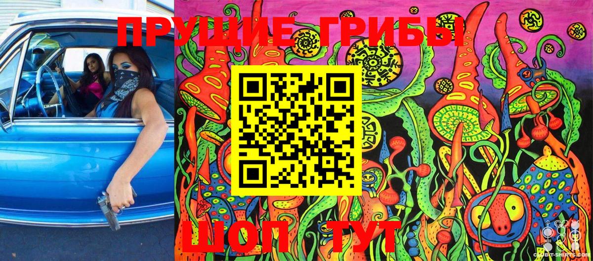 Красногорск  Псилоцибиновые грибы Magic Shrooms  Вход с VPN  Галлюциногенные грибы ЛСД 