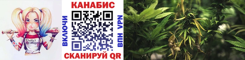 hydra как зайти  как найти закладки  Красногорск  МАРИХУАНА марихуана 